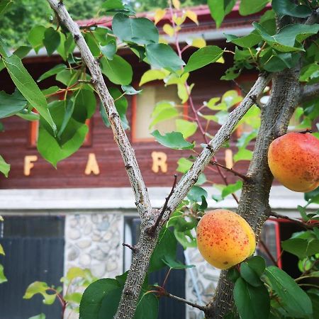 Cabana Fario Rau Mare - Retezat Clopotiva Ngoại thất bức ảnh